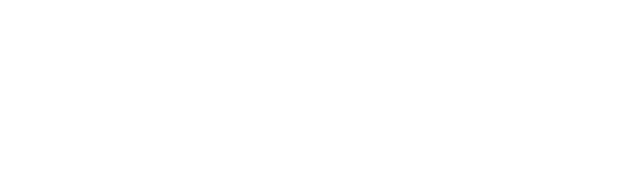 Suresh Gyan Vihar University